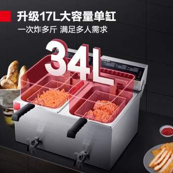德瑪仕(DEMASHI)電炸爐 商用 油炸機炸鍋 薯條機 電炸鍋 雙缸 L-172P【微電腦 34L】