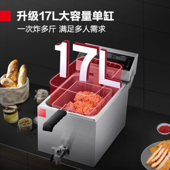 德瑪仕(DEMASHI)電炸爐商用油炸機炸鍋薯條機電炸鍋 單缸 L-171P【微電腦 17L】