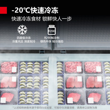 德瑪仕(DEMASHI)冰柜商用 保鮮冰箱家用 臥式冰柜展示柜 臥式冰柜 BD-480 (工程款 大容量)
